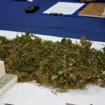 marihuana_prsa-09112012