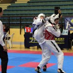 taekwondogacka5_prsa_24112014