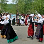 KorenicaDanLuka20