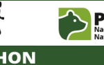 PlMaraton