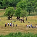 Švica Ivanjski dani2_drazenprsa_14062015