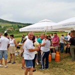 Švica Ivanjskidani1_drazenprsa14062015