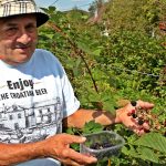 opgzubrinic3_drazenprsa_27092016