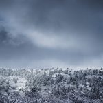 cold-pixa-pixabay