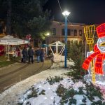 zimski sajam II (11)