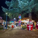 zimski sajam II (13)