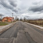 drndalica (4)