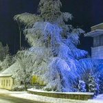 snijeg (11)