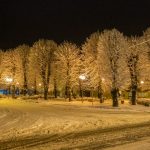 snijeg (2)