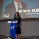 HDZ (17)