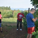 IMG-20210809-WA0003