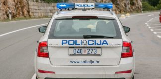 Nadomak Gospića ustrijelio srnjaka, Norvežanin malo brže vozio na A-1