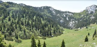 Vrlo solidni brojčani pokazatelji u NP Sjeverni Velebit