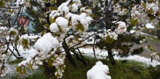 Ne zaboravite-sutra nam dolazi proljeće!