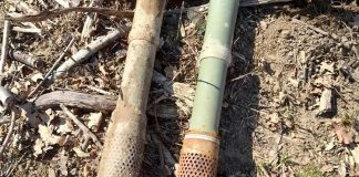 Šetao šumom pa naletio na dva topnička zrna