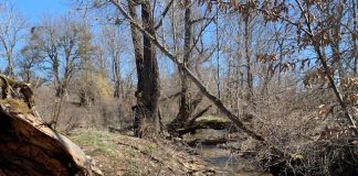 Uređuju se vodotoci kod Udbine