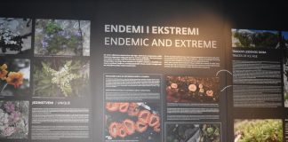 „Dan otvorenih vrata Kuće Velebita“