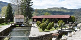 Znate li što je-plav?