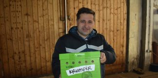 Završena sadnja krumpira