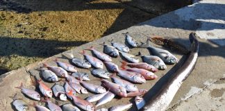 Poziv na natjecanje u ribolovu