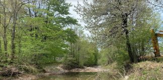 Čisti se vodotok Suvaje