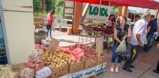 Pošto će biti lički krumpir?