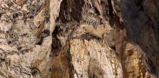 Značajan porast posjetitelja i prihoda u PP Grabovača