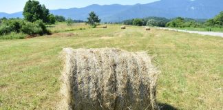 U dijelovima Like pripremanje sijena je pri kraju