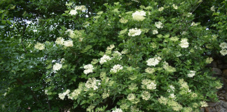 Vrijeme je za bazgu!