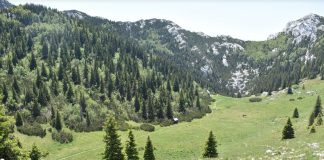 Vrlo solidna posjeta NP Sjeverni Velebit