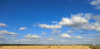 LAG LIKA: Još 12 dana za prijavu na LAG Natječaj za Mjeru 6.1.1. Potpora mladim poljoprivrednicima!
