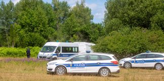 FOTO Organizirana velika krađa šume u okolici Gospića