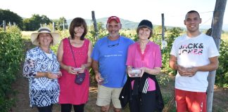 Maline kao zdravstveno-gurmanska blagodat