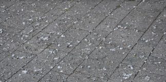 Smrdljivi tepih od kakice golubova