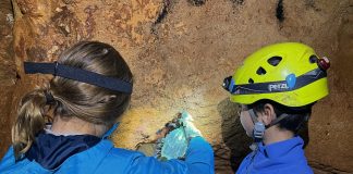 Radionica o restauraciji špilja u PP Grabovača