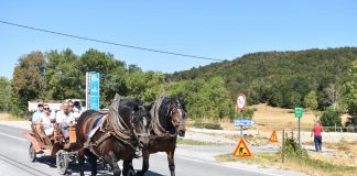 Kočijom po Velebitu