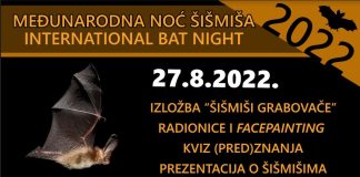 Noć šišmiša u Grabovači!