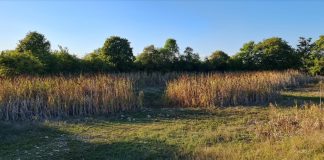 Presušio je Vanokop u Ćukovcu