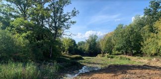 Nastavlja se uređenje potoka