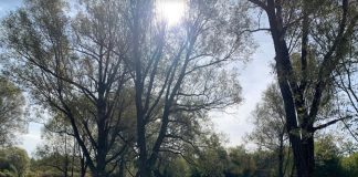 Uređuje se potok Banica kod Lovinca