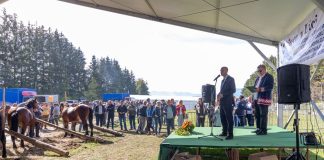 Otvorena izložba autohtonih pasmina konja