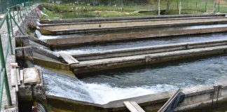 Lička pastrva obogatila Rječinu