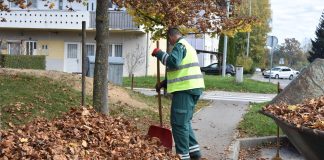 Jesen skida lišće jasena…