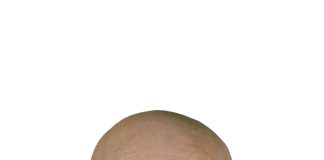 Danko Ivšinović u zbirci hrvatskih i makedonskih aforizama