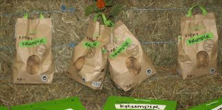 „Agro-Velebit“ ubrao preko 1000 tona krumpira