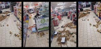 Muškarac upao u trgovački centar i razbacivao artikle, policija ga privela