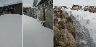 Visina snijega je zbog bure vrlo relativan pojam