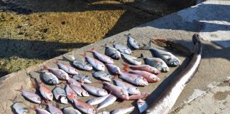 „Bura“ već krenula s aktivnostima za 2023. godinu