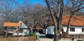 Šest kandidata iz Ličko-senjske županije u utrci za nagradu Suncokret