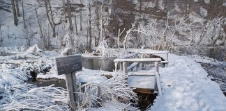 Odličan početak godine u Nacionalnom parku Plitvička jezera